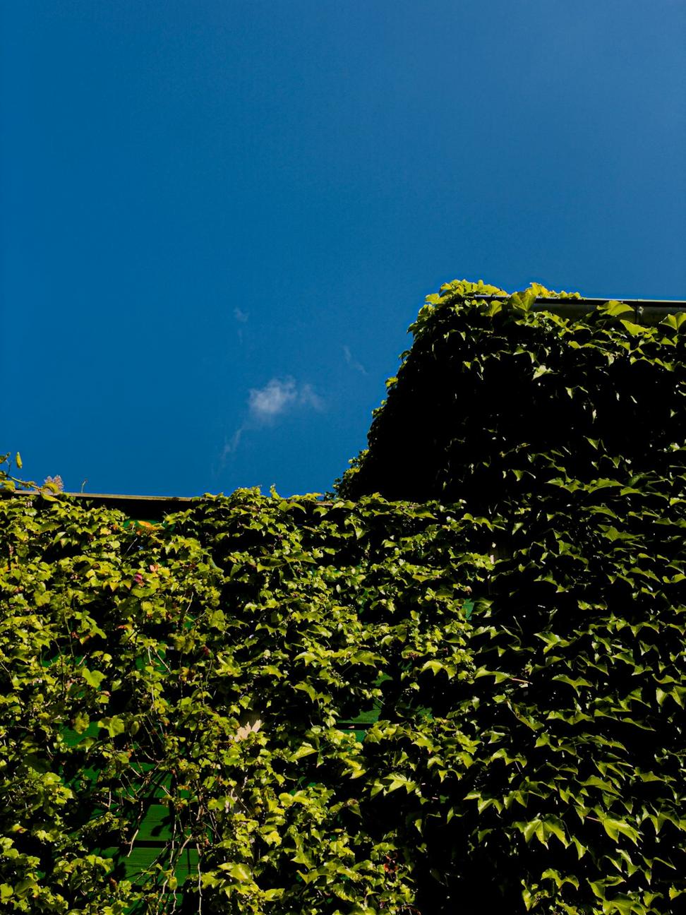 Green roof system